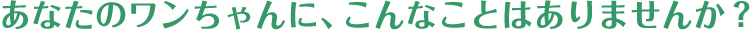 あなたのワンちゃんに、こんなことはありませんか?