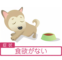 食欲が無い